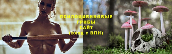 прущий лед Аркадак