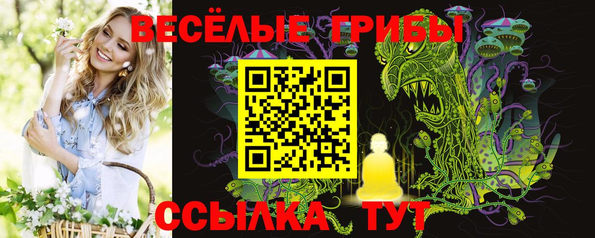 Галлюциногенные грибы мухоморы Асбест