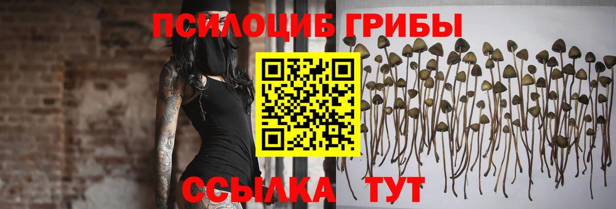Асбест  Галлюциногенные грибы прущие грибы  купить наркотик  Вход с VPN 